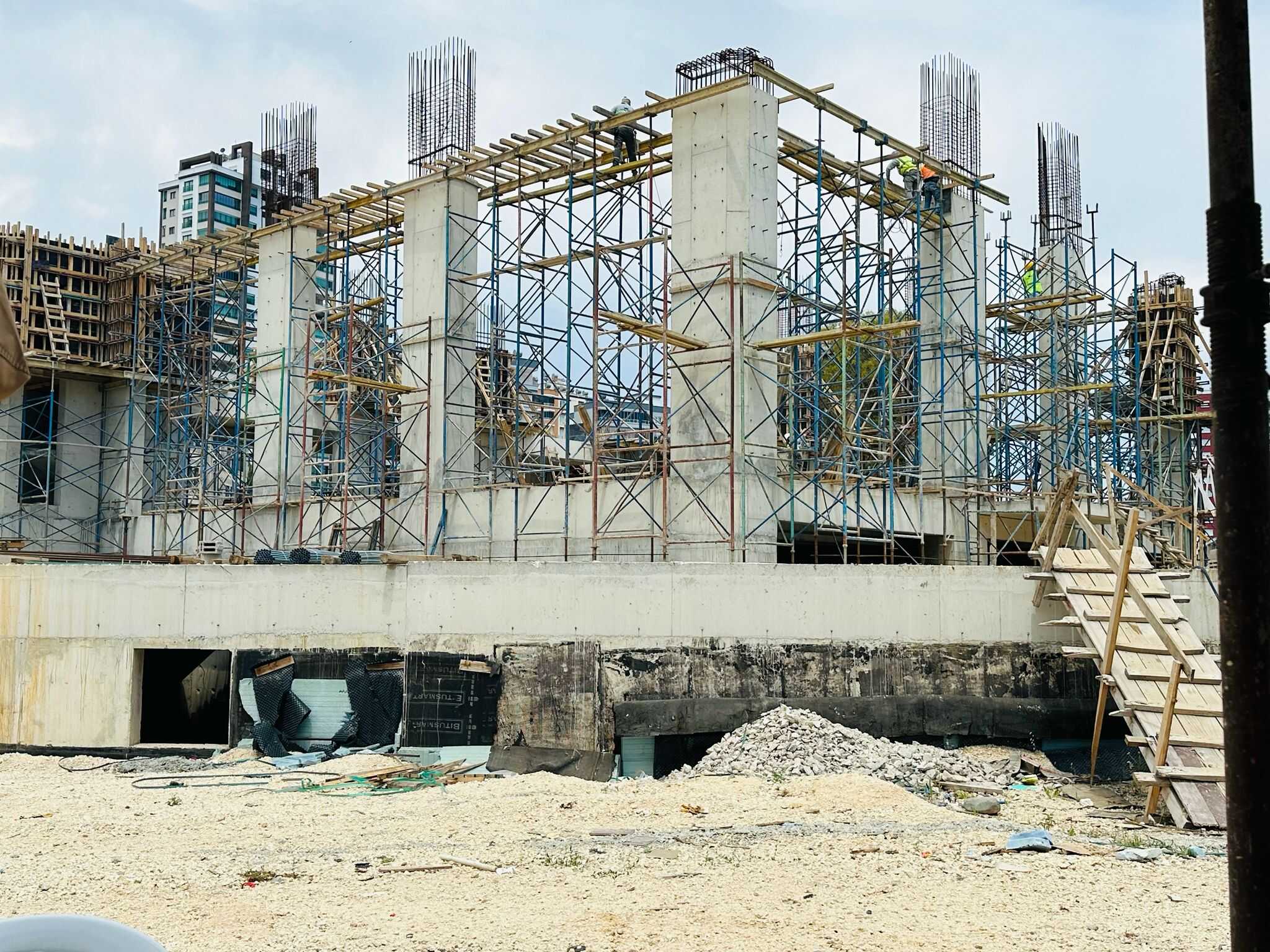 WhatsApp Image 2026-02-23 at 15.51.21 (1)